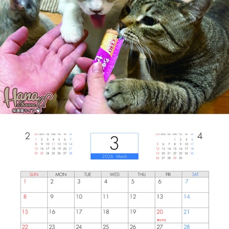 【予約販売】 Hana Channel 保護猫ライフ 2026年 壁掛け カレンダー KK26300