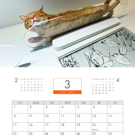 【予約販売】 猫のもち 2026年 壁掛けカレンダー KA26251