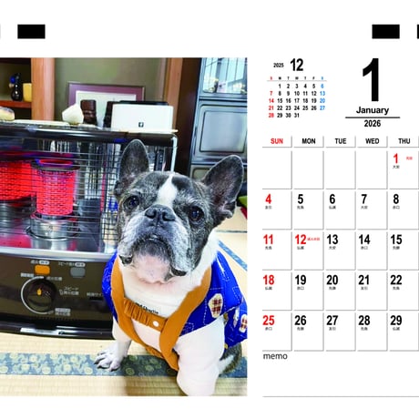 【予約販売】 原 丸男 フレンチブルドッグ 犬 2026年 卓上カレンダー TC26177