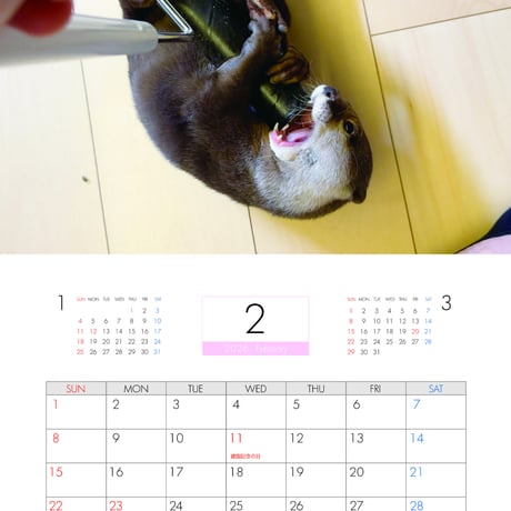 【予約販売】 カワウソ さくら 2026年 壁掛けカレンダー KA26250