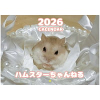 【予約販売】 ハムスターちゃんねる 2026年 壁掛けカレンダー KA26283