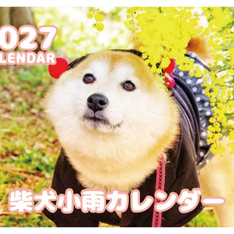 【予約販売】 柴犬 小雨 2027年 壁掛け カレンダー KK27014