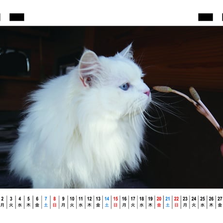 【予約販売】 あつまれちいかまの森 猫 2026年 卓上 カレンダー TC26293
