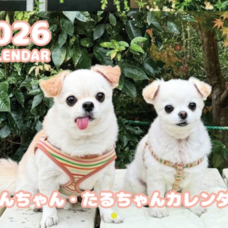 【予約販売】 てんちゃん・たるちゃん 犬 2026年 壁掛けカレンダー KK26256