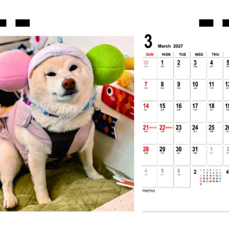 【予約販売】 白柴ごん太 柴犬 2027年 卓上 カレンダー TC27007