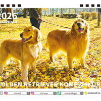 【予約販売】 コメ&イクラ ゴールデンレトリバー 犬 2026年 卓上全面 カレンダー TA26286