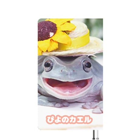 【予約販売】 ぴよのカエル 2026年 POスケジュール PO26027