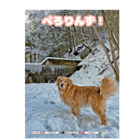 【予約販売】 ゴールデンレトリバー犬＆保護猫 ぺろりんず！ 2025年 日記帳 DR25012