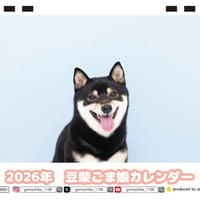 【予約販売】 豆柴ごま娘 犬 2026年 卓上 カレンダー TC26316