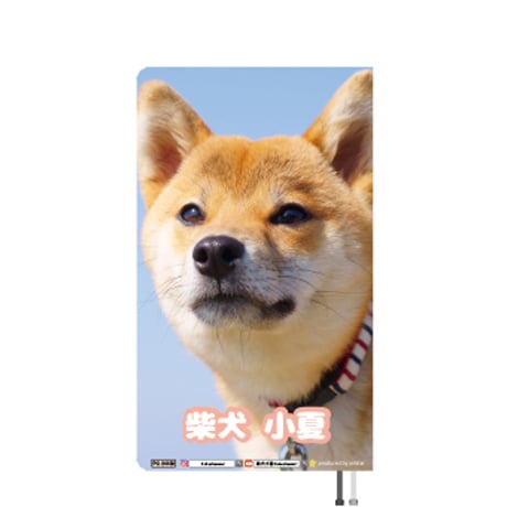 【予約販売】 柴犬 小夏 2024年 ポケットサイズ スケジュール帳 PO24108