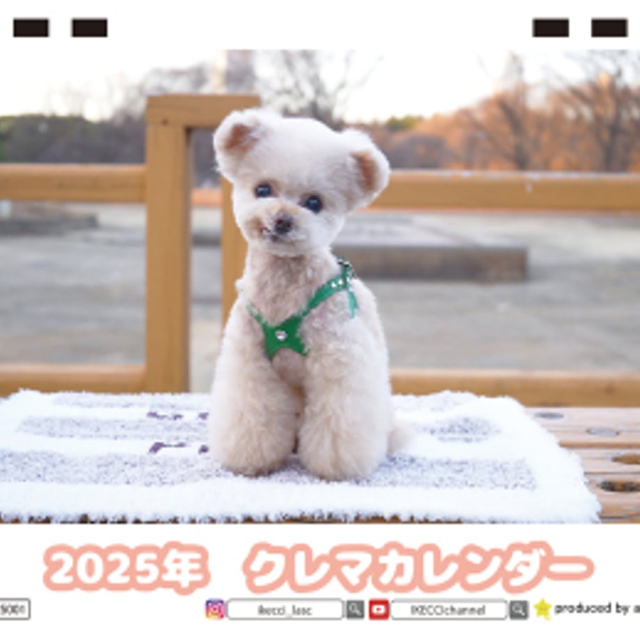 66f6786dc7a8720001552528