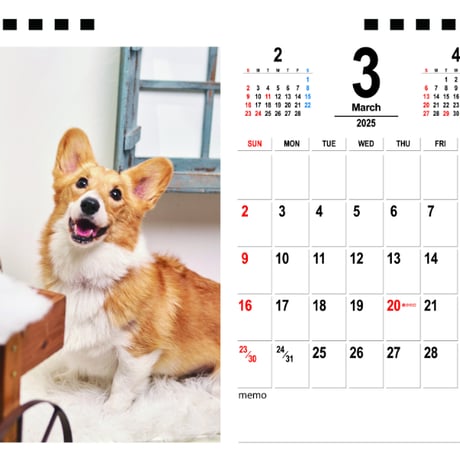 【予約販売】  コーギー犬 モナ 2025年 卓上半面 カレンダー TC25352