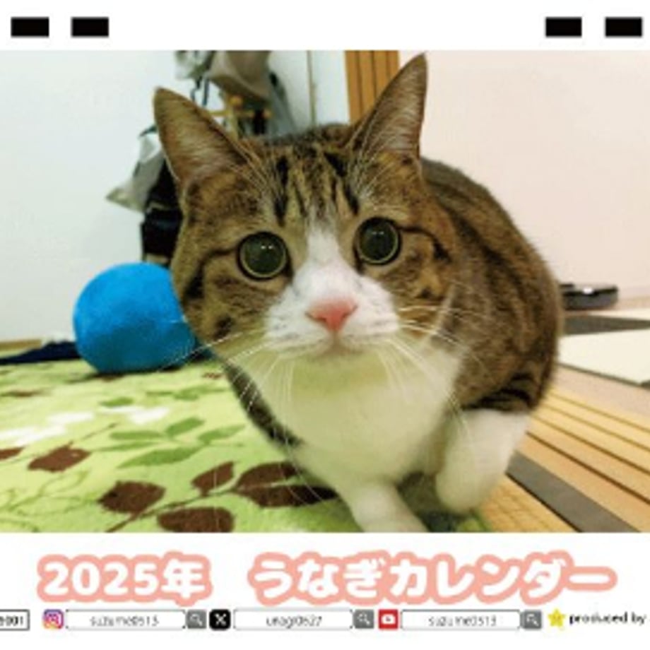 66db032bcc85d000017b89f2
