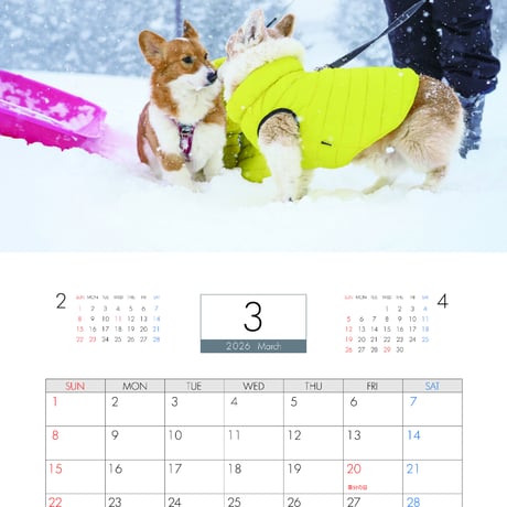 【予約販売】 ノエル&モナ コーギー 犬 2026年 壁掛け カレンダー KA26333