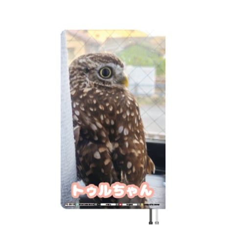 【予約販売】 ふくろうのトゥルちゃん 2026年 ポケットスケジュール帳 PO26110