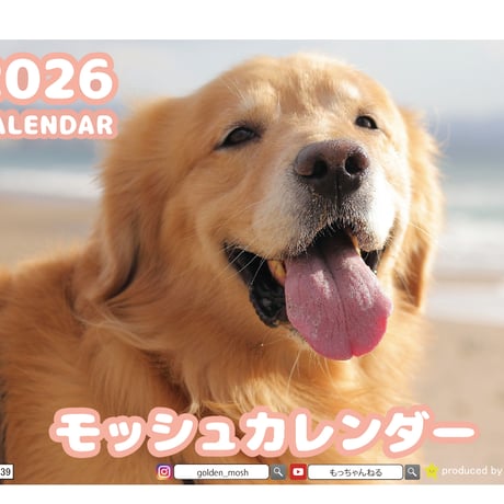 【予約販売】 モッシュ ゴールデンレトリバー 2026年 卓上 カレンダー TA26339