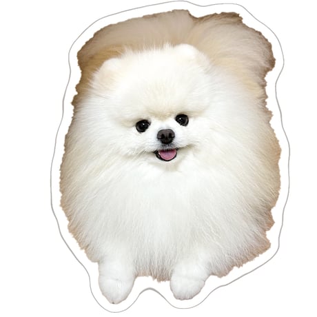 【予約販売】 レモンとポテチ 猫 犬 猫のレモンと犬のポテチちゃんねる ステッカー 3枚セット SU022NN