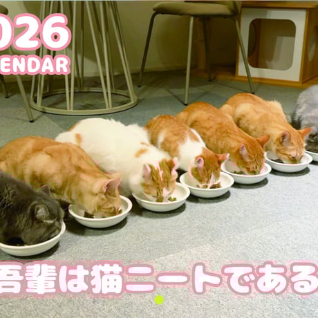 【予約販売】 吾輩は猫ニートである。 2026年 壁掛け カレンダー KA26347