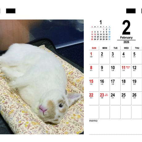 【予約販売】 バムちゃん うさぎ 2026年 卓上カレンダー TC26112