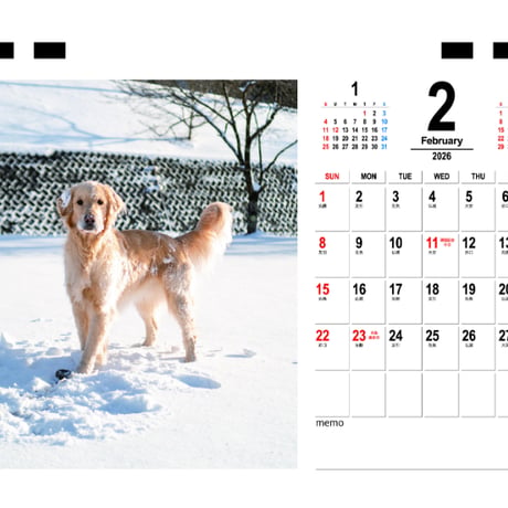 【予約販売】 ジョイ＆マックス 犬 2026年 卓上 カレンダー TC26324