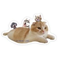 【予約販売】 犬と猫の親バカ日記 ステッカー 3枚セット SU015NN