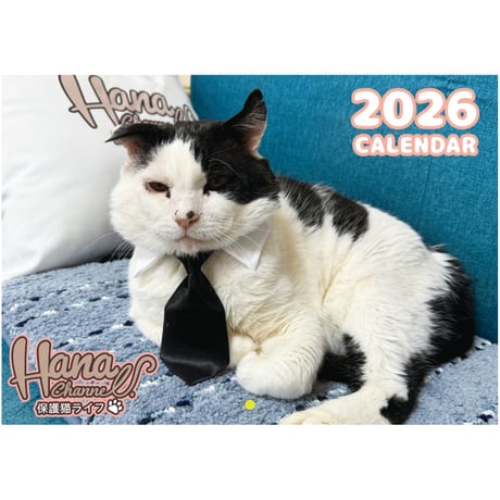 【予約販売】 Hana Channel 保護猫ライフ 2026年 壁掛け カレンダー KK26300
