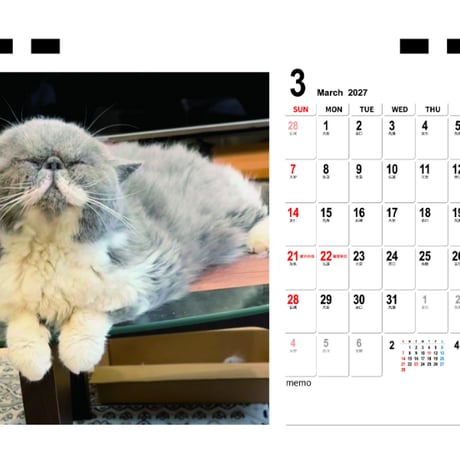 【予約販売】 まるおとまめこ 猫 2027年 卓上 カレンダー TC27029