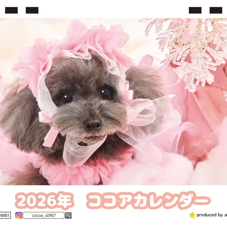 68c38d1927d5b23f163a8ef7