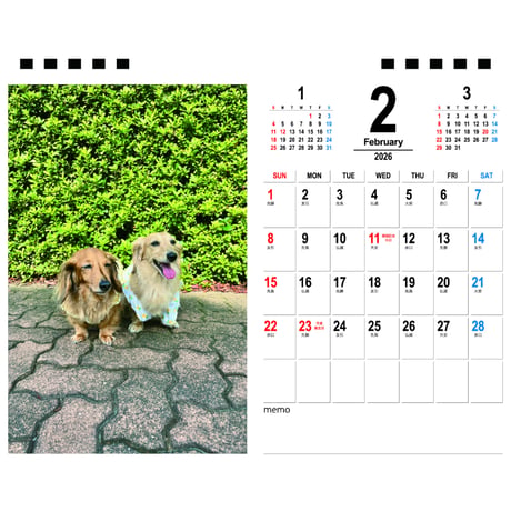 【予約販売】 ローちゃん ミッちゃん ダックスフンド 犬 2026年 卓上半面 カレンダー TA26032