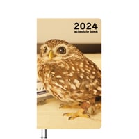 【予約販売】 鳥のフクロウ トゥルちゃん 2024年 ポケットサイズ スケジュール帳 PO24144