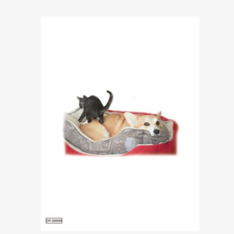 【予約販売】 初めてのコーギー 犬 日記帳 DR006NN