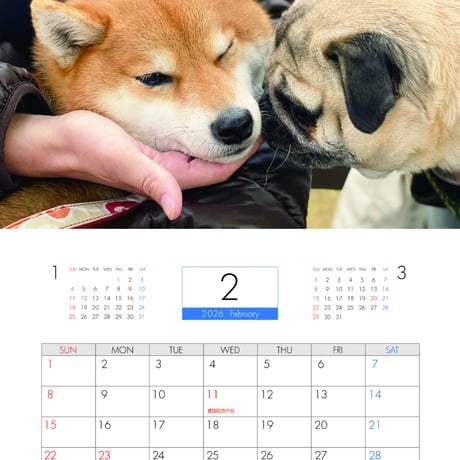【予約販売】 ラル＆アキ パグ 柴犬 2026年 壁掛けカレンダー KA26045