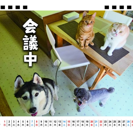 【予約販売】 犬と猫の親バカ日記 2026年 卓上カレンダー TA26209