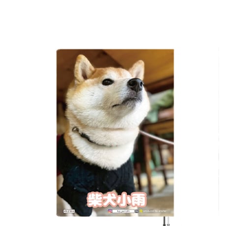 【予約販売】 柴犬 小雨 2027年 A5スケジュール帳 A527016