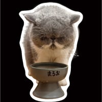 【予約販売】 まるおとまめこ 猫 ステッカーNo27 3枚セット SU027NN