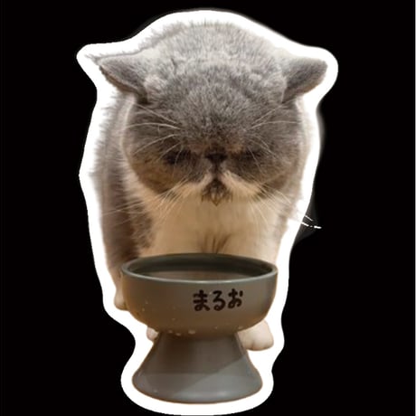 【予約販売】 まるおとまめこ 猫 ステッカーNo27 3枚セット SU027NN