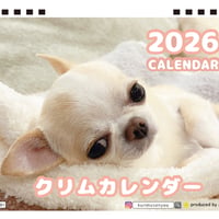 【予約販売】 チワワのクリム 犬 2026年 卓上カレンダー TA26226