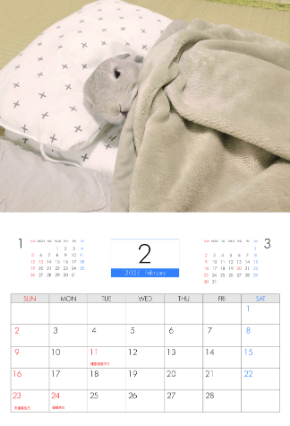 予約販売】 うさぎのコガラナ天パのうさハムch 2025年 壁掛け