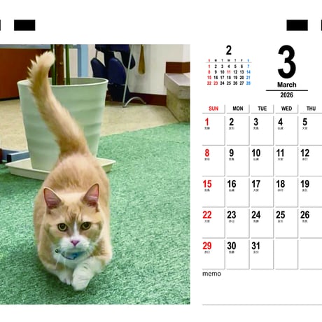 【予約販売】 まいるんちの毎日 猫 2026年 卓上カレンダー TC26234