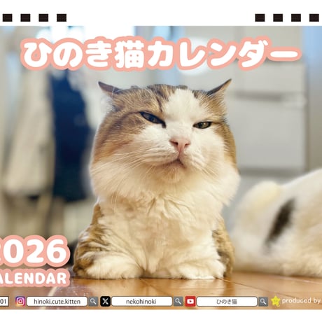 【予約販売】 ひのき猫 2026年 卓上カレンダー TA26176