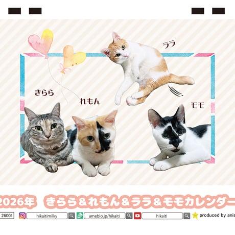 【予約販売】 きらら＆れもん＆ララ＆＆モモ 猫 2026年 卓上カレンダー TC26229