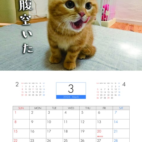 【予約販売】 犬と猫の親バカ日記 じゅんちゃん茶太郎 2026年 壁掛けカレンダー KA26208