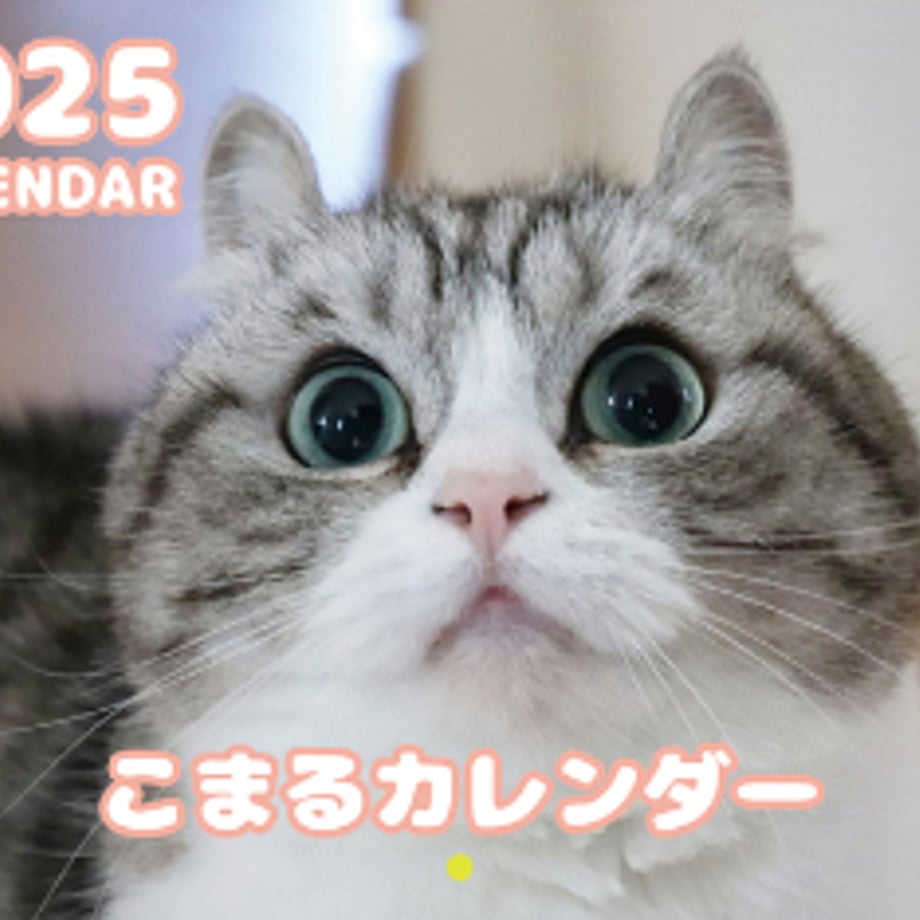 66f6bb3a6dd9a90001007a8f