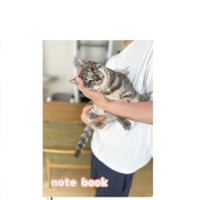 【予約販売】 猫のウルン＆リコリン 2025年 A5ノート帳 No25275