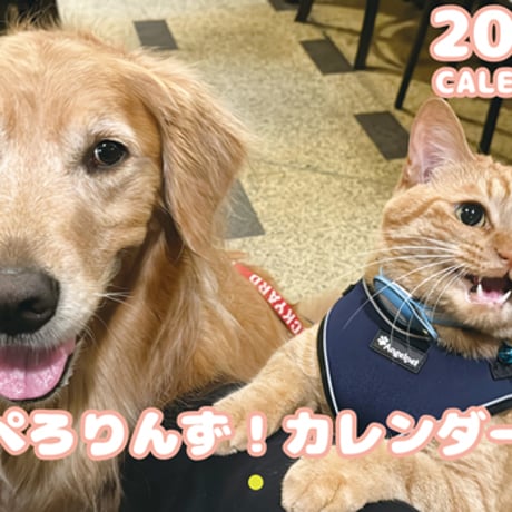 【予約販売】 ぺろりんず！ ゴールデンレトリバー 犬＆保護猫  2026年 壁掛け カレンダー KA26290