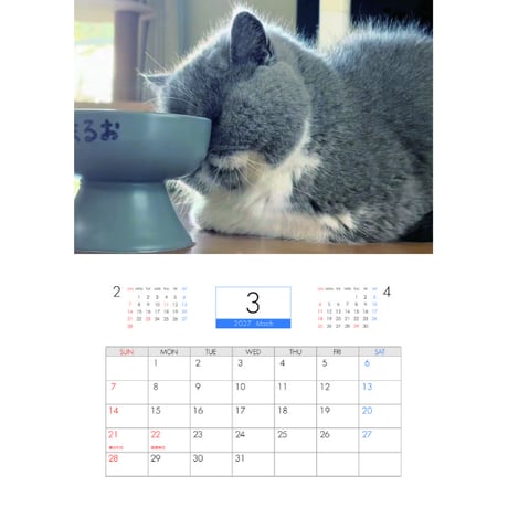 【予約販売】 まるおとまめこ 猫 2027年 壁掛け カレンダー KK27028