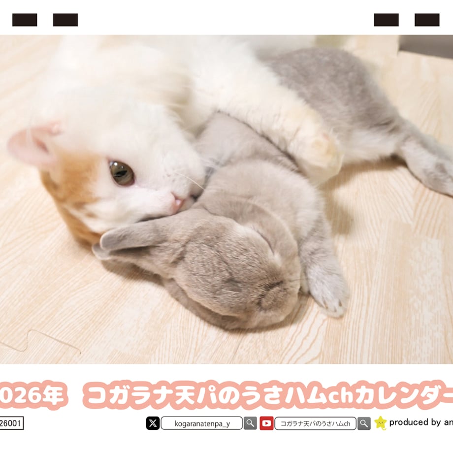 68dce35eb37ea4369354db8e