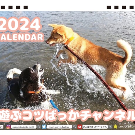 【予約販売】 犬の遊ぶコツばっかチャンネル 2024年 卓上 カレンダー TC24181