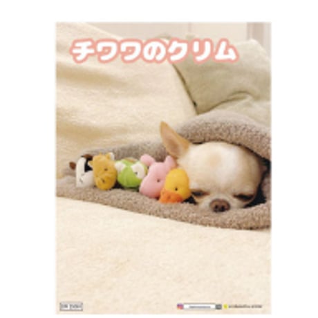 【予約販売】 チワワのクリム 2025年 犬 日記帳 DR25334