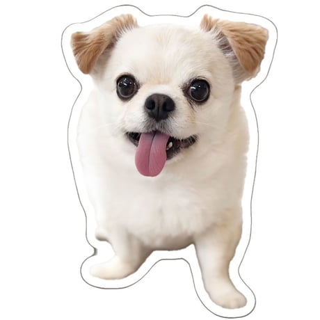 【予約販売】 てんちゃん・たるちゃん 犬 ステッカー 3枚セット SU018NN
